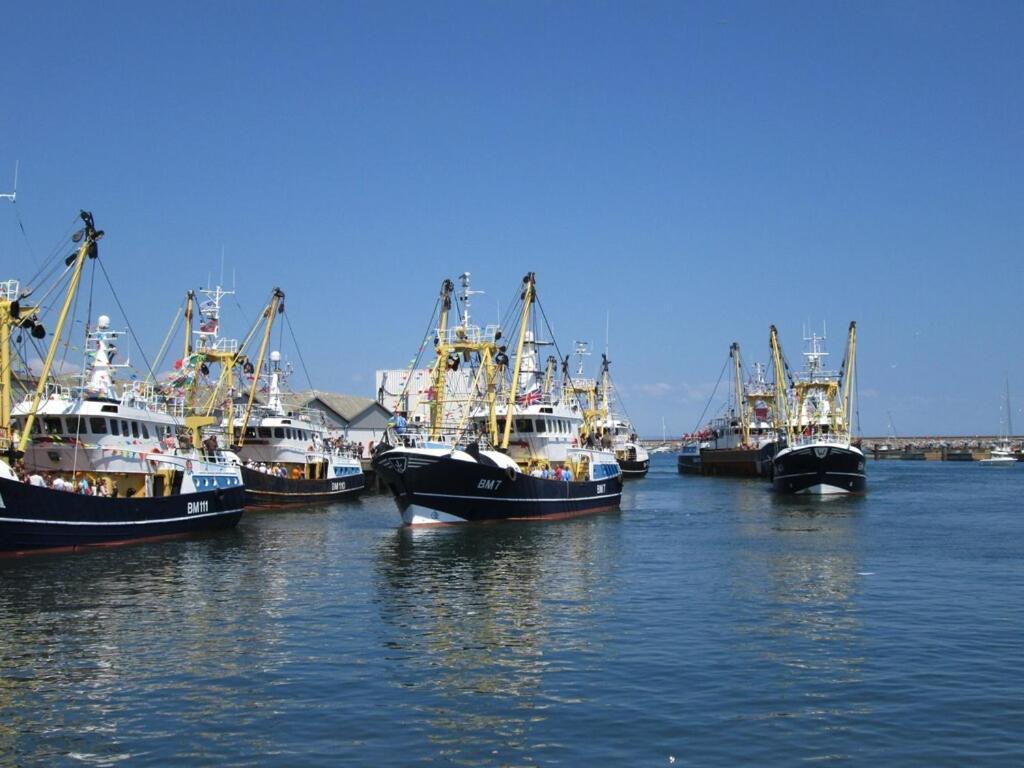 A Modern And Cosy Apartment Just Yards From Brixham'S Bustling Harbourside מראה חיצוני תמונה